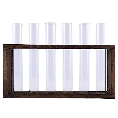 Kliplinc Pflanzen Terrarium mit St?Nder, Tisch-/Wandbehang, Vermehrung Station f¨¹r Lebende Pflanzen, Pflanze Gef??E, Glas R?Hrchen, Hydroponisch von Kliplinc