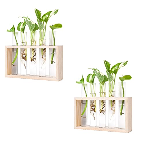 Kliplinc Pflanzen Vermehrungs Stationen, Pflanzen Terrarium mit Holzst?Nder f¨¹r Vermehrung Von Hydroponik Pflanzen Halter Haus Dekoration B von Kliplinc