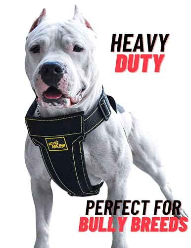 Dog Vest Harness Padded Adjustable Heavy Duty Attachment Links Strong Dog Harness Step in Dog Harness Large Dogs Sturdy Enough for Any Breed | Pitbull Boxer Husky Rottweiler Belgian Malinois Bulldog von KNK