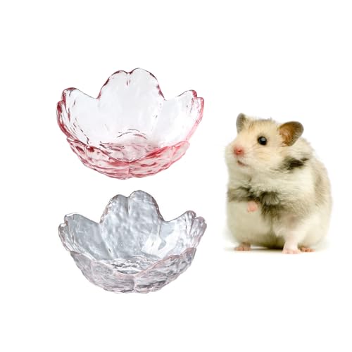 KnocKconK Hamster-Glasschüssel, 2 Stück von KnocKconK