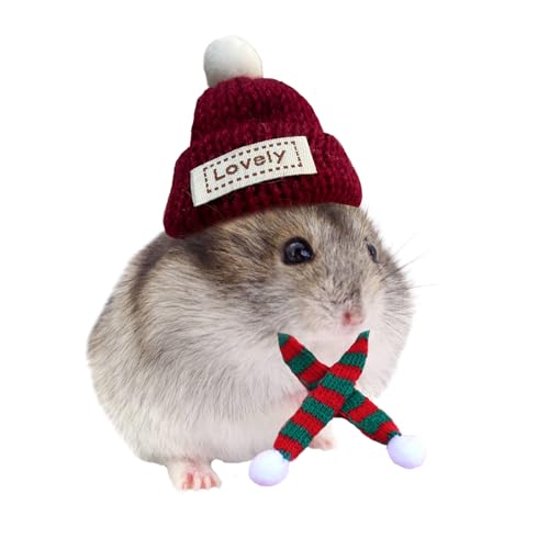 KnocKconK Hamster-Kostüm-Set mit Hemd, Hut, Schuhen, Kleintiere, niedlicher Hai-Hausschuh für echte Haustiere, niedliche Mini-Ratte, Urlaub, Partykleidung, für Spaß, Fotos (Meerschweinchen-Set) von KnocKconK