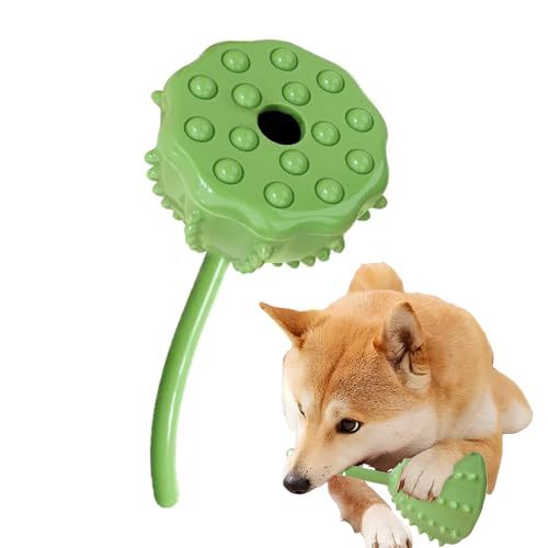 Knowlife Leckerliball, Langsamer Futterspender mit Pflanzendesign, Handliches Spielzeug Für Alle Hunderassen Unterwegs Knowlife Leckerliball, Langsamer Futterspender mit Pflanzendesign, Handliches Spielzeug Für Alle Hunderassen Unterwegs von Knowlife