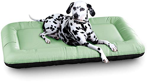 Knuffelwuff 13062 In und Outdoor Hundebett Hundekissen Hundesofa Hundekörbchen Hundekorb, Lucky Color Edition, Größe XL 100 x 73 cm, grün von Knuffelwuff