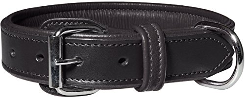 Knuffelwuff 13967-011 Leder Hundehalsband mit Schnallenschutz Detroit, schwarz von Knuffelwuff