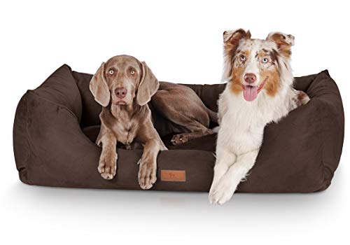 Knuffelwuff Hundebett Dreamline aus Velours XL 105 x 75cm Braun - abnehmbarer Bezug - leicht zu reinigen - für große, mittelgroße und kleine Hunde von Knuffelwuff