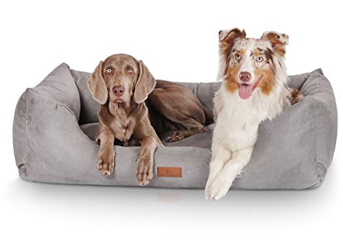 Knuffelwuff Hundebett Dreamline aus Velours XXL 120 x 85cm Grau - abnehmbarer Bezug - leicht zu reinigen - für große, mittelgroße und kleine Hunde von Knuffelwuff