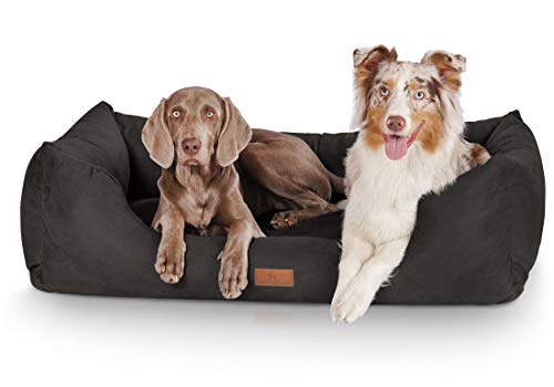 Knuffelwuff Hundebett Dreamline aus Velours XXL 120 x 85cm Schwarz - abnehmbarer Bezug - leicht zu reinigen - für große, mittelgroße und kleine Hunde von Knuffelwuff