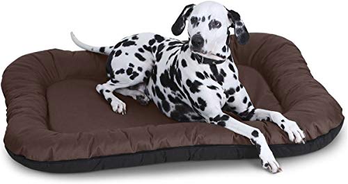 Knuffelwuff Hundebett Lucky In und Outdoor Hundekissen Hundesofa Hundekörbchen Hundekorb, Übergröße XXXL Braun von Knuffelwuff