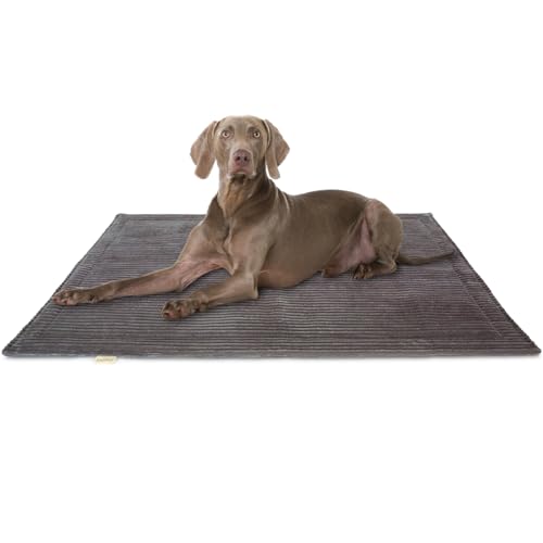 Knuffelwuff Hundedecke Timor 100x70cm Anthrazit - Bequeme und Pflegeleichte Liegedecke aus weichem Cord - waschbar - für große, mittelgroße und kleine Hunde von Knuffelwuff