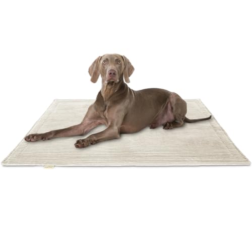 Knuffelwuff Hundedecke Timor 100x70cm Beige - Bequeme und Pflegeleichte Liegedecke aus weichem Cord - waschbar - für große, mittelgroße und kleine Hunde von Knuffelwuff