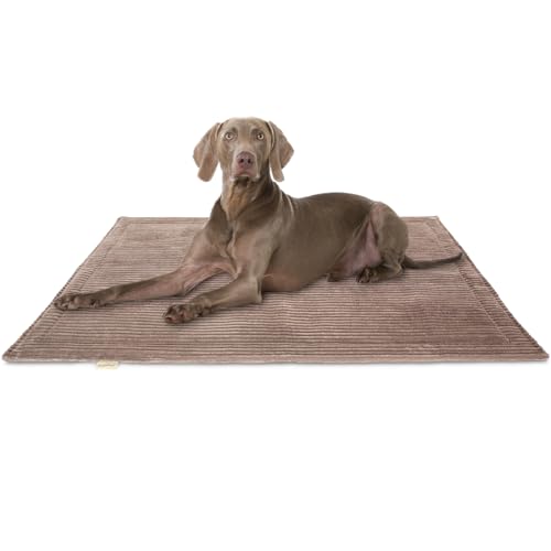 Knuffelwuff Hundedecke Timor 100x70cm Braun - Bequeme und Pflegeleichte Liegedecke aus weichem Cord - waschbar - für große, mittelgroße und kleine Hunde von Knuffelwuff