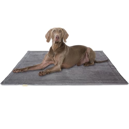 Knuffelwuff Hundedecke Timor 100x70cm Grau - Bequeme und Pflegeleichte Liegedecke aus weichem Cord - waschbar - für große, mittelgroße und kleine Hunde von Knuffelwuff