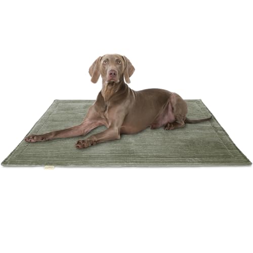 Knuffelwuff Hundedecke Timor 100x70cm Khaki - Bequeme und Pflegeleichte Liegedecke aus weichem Cord - waschbar - für große, mittelgroße und kleine Hunde von Knuffelwuff