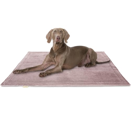 Knuffelwuff Hundedecke Timor 100x70cm Rosa - Bequeme und Pflegeleichte Liegedecke aus weichem Cord - waschbar - für große, mittelgroße und kleine Hunde von Knuffelwuff