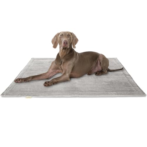 Knuffelwuff Hundedecke Timor 120x80cm Hellgrau - Bequeme und Pflegeleichte Liegedecke aus weichem Cord - waschbar - für große, mittelgroße und kleine Hunde von Knuffelwuff