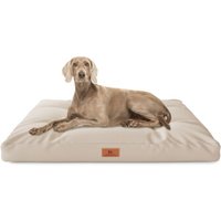 Knuffelwuff Hundekissen Gatsby aus Oxford-Gewebe beige M-L von Knuffelwuff