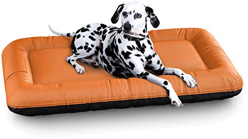 Knuffelwuff Wasserfestes In und Outdoor Hundebett Lucky Color Edition aus Nylongewebe XL 100 x 73cm Orange - abnehmbarer Bezug - waschbar - für große, mittelgroße und kleine Hunde von Knuffelwuff