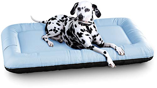 Knuffelwuff Wasserfestes In und Outdoor Hundebett Lucky Color Edition aus Nylongewebe XXL 120 x 85cm Blau - abnehmbarer Bezug - waschbar - für große, mittelgroße und kleine Hunde von Knuffelwuff