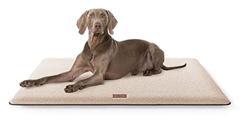 Knuffelwuff kuschelige Hundematte Calliope aus Teddy Material 100x70cm Beige - Hundekissen für große, mittelgroße und kleine Hunde - Für Zuhause, Auto, Wohnmobil, Wohnwagen von Knuffelwuff