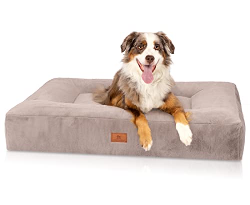 Knuffelwuff orthopädisches Hundebett Midland M-L 80 x 60cm Grau - Hundekissen für große, mittelgroße und kleine Hunde - Waschbar von Knuffelwuff