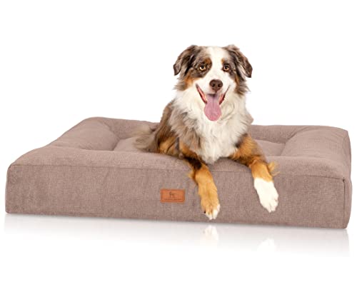 Knuffelwuff orthopädisches Hundebett aus kuscheligem Velours mit Handwebcharakter Sofia 80 x 60cm Beige - Abnehmbarer Bezug - waschbar - für große, mittelgroße und kleine Hunde von Knuffelwuff