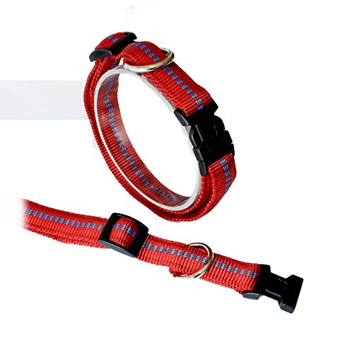 Koch G3302002 Nylon-Halsband gepolstert mit Klickverschluss stufenlos verstellbar, M, rot von Koch