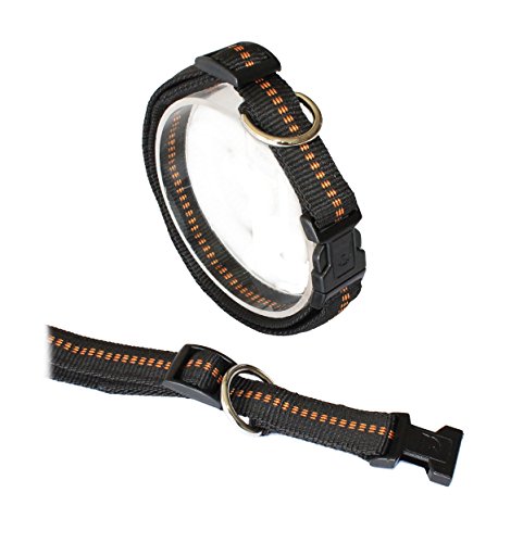 Koch G3302020 Nylon-Halsband gepolstert, mit Klickverschluss, stufenlos verstellbar, M, schwarz von Koch