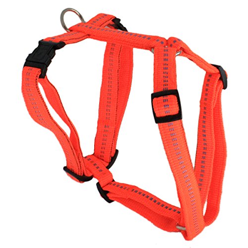 Koch G3656033 Nylon-Geschirr gepolstert stufenlos 5fach verstellbar mit Klickverschlüssen, M, leuchtorange von Koch