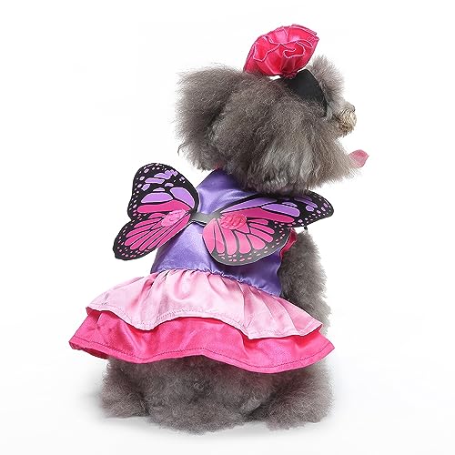 Schmetterlings-Hundekostüm, lustiges Halloween-Hundekostüm, Schmetterlingsform, Tier-Cosplay-Kostüm für kleine, mittelgroße Katzen, Hunde, besondere Anlässe, Haustierkleidung, Outfits – Kleiden Sie von Kodervo