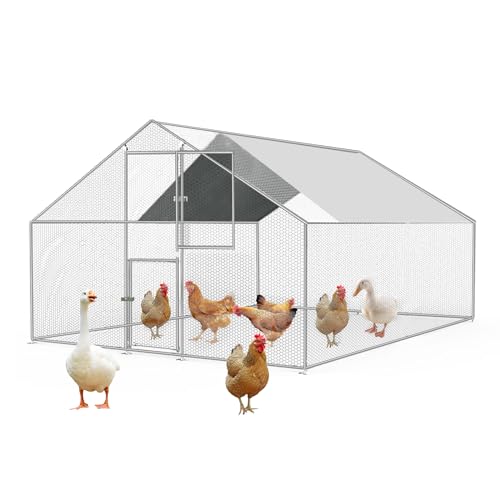 Large Chicken Run Metal Chicken Coops 10x10 FT, Walk-in Poultry Cage Hen Run House, Spire Shaped Coop with Waterproof and Anti-UV Cover for Outdoor Backyard Farm von Koestem