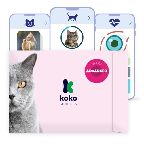 Koko Genetics DNA-Test für Katzen Advanced - (+150 Berichte über Rassen, Gesundheit und Eigenschaften) - Upgrades kostenlos von Koko Genetics