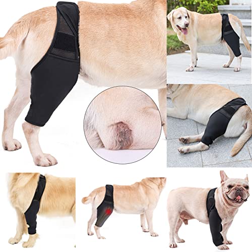 Komate Haustier Hund Bein Unterstützung Brace Vorderseite Rückseite Hinterbein Wrap Ellenbogenbandage Protektor Hunde Kniegelenk Sprunggelenk Schutz Stabilitätsverlust Arthritis Schwarz (L) von Komate