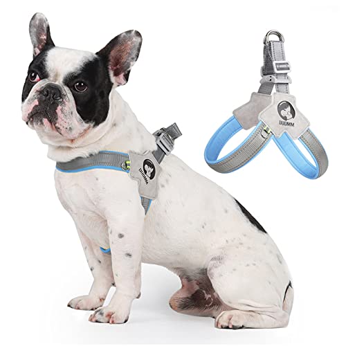 Komate No Pull Hundegeschirr für kleine Hunde Welpen Leichtes Atmungsaktives Hunde Brustgeschirr Quick Fit und Escape Proof für den täglichen Spaziergang (Blau, L: Brustumfang: 62-72cm) von Komate