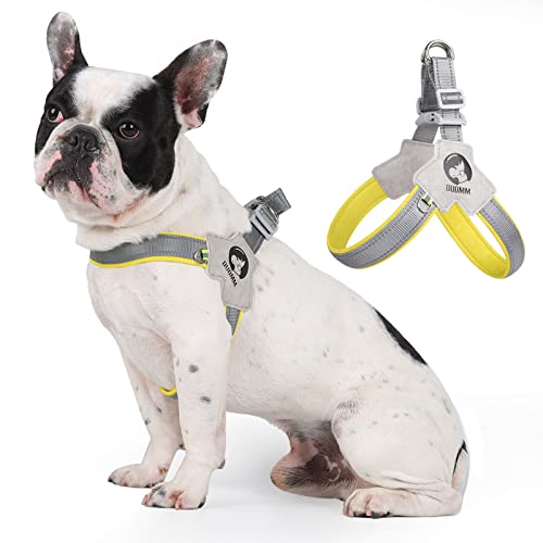 Komate No Pull Hundegeschirr für kleine Hunde Welpen Leichtes Atmungsaktives Hunde Brustgeschirr Quick Fit und Escape Proof für den täglichen Spaziergang (Gelb, L: Brustumfang: 62-72cm) von Komate