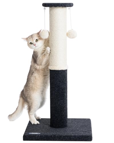 Komicoll 86.4 cm Hoch Katzenkratzbaum für Indoor Katzen, Großer Teppich Kratzbaum, Sisal Katzenkratzer, Stabiler und Langlebiger Katzenbaum mit hängendem Ball von Komicoll