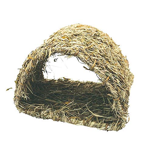 Komodo Grasiges Versteck Komodo Grasiges Versteck von Komodo