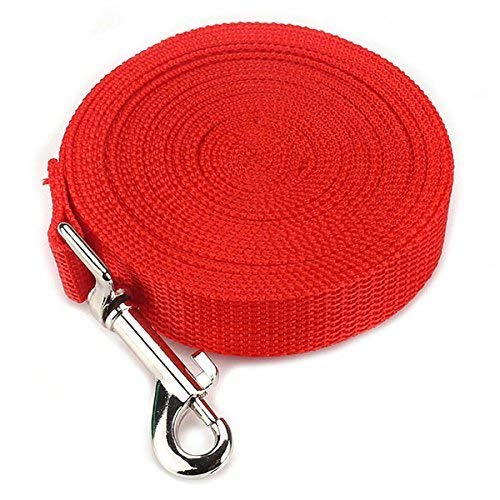 Kompassswc Hundeleine Schleppleine Langlaufleine 2cm Breit stabile Nylon Hundetrainingsleine Feldleine mit Handschlaufe Langlaufleine für große und kleine Hunde (20m, Rot) von Kompassswc