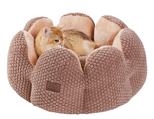 Komsuelo Katzenbetten für Indoor-Katzen für kleine Hunde, waschbares, rundes Haustierbett mit rutschfester Unterseite, 58 cm, Blütenblatt-Design, Betten mit flauschigem, ultraweichem Kissen, Grün von Komsuelo