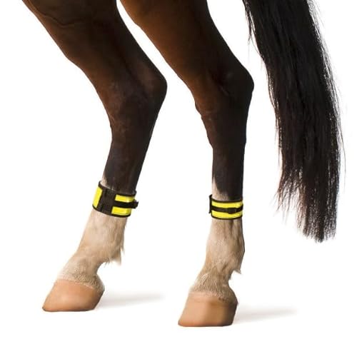 Konege Leuchtgamaschen Pferd (1Paar), Höhe 6cm, Größe M von Konege