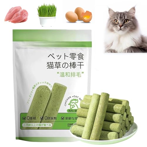 Cat Grass Teething Stick - Cat Grass for Indoor Cats, Cat Grass Sticks, Cat Grass Chew Sticks, Cat Grass Teething Stick for Indoor Cats (1Bag) von Konenbra