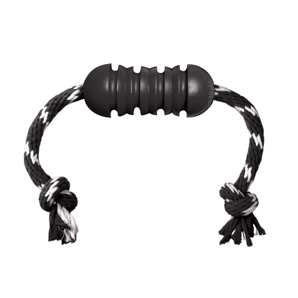 KONG Extreme Dental Hundespielzeug mit Seil - Größe M: ca. L 46 x Ø 5 cm von Kong