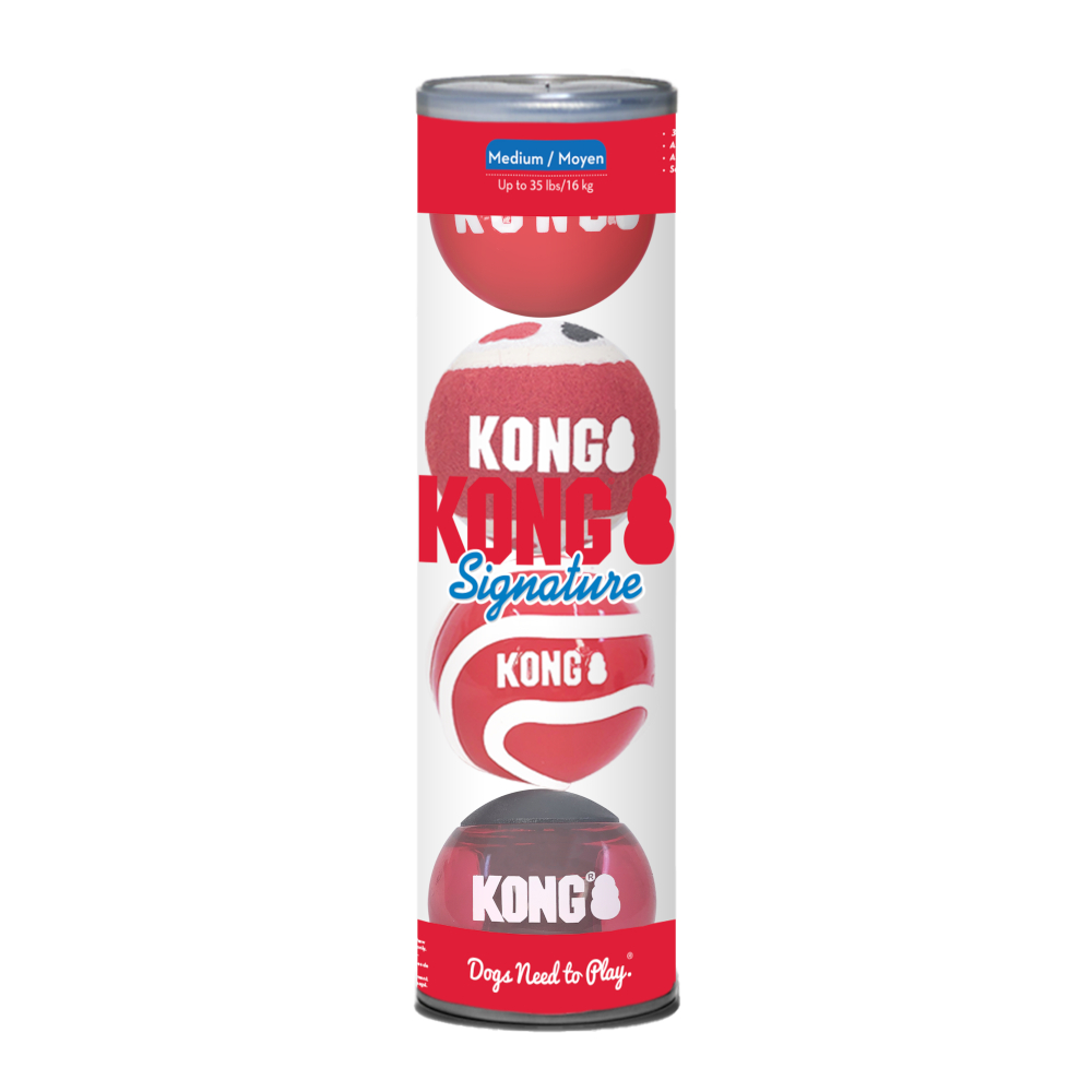 KONG Signature Spielbälle für Hunde - 4 Stück, Größe M: ca. Ø 7 cm von Kong