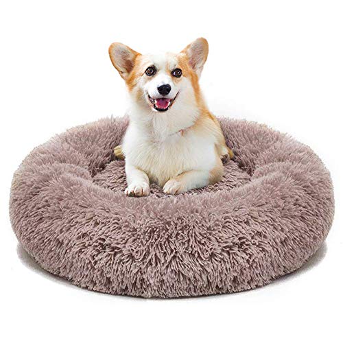 Beruhigendes Haustierbett für Katzen und kleine und mittelgroße Hunde, mit erhöhtem Rand, flauschiges Plüsch-Hundebett, Donut-Nest, warmes verdicktes Welpenkissen, kaffeefarben, 80 cm von KongEU