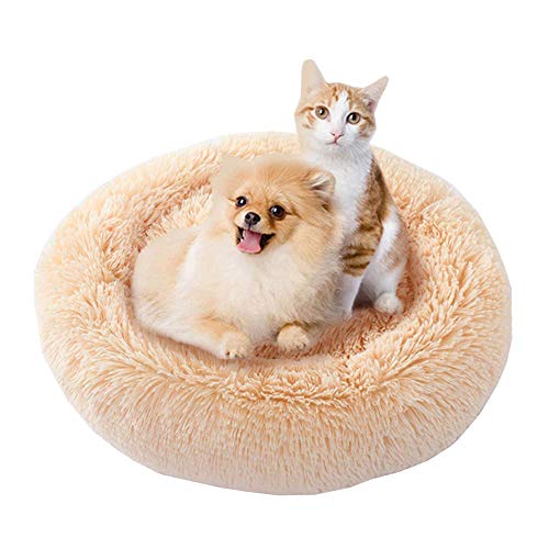 Extra Weich Katzenbett waschbar aus warm plüsch,Katzen Sofa Bequem Schlafen Bett,Schonend Hundebett Rund Haustierbett fur Katzen und Kleine Mittlere Hunde,rutschfest-Aprikose-M:60x60x20cm von KongEU