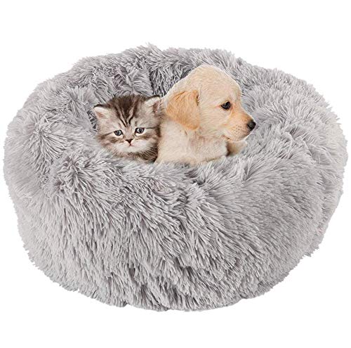 Extra Weich Katzenbett waschbar aus warm plüsch,Katzen Sofa Bequem Schlafen Bett,Schonend Hundebett Rund Haustierbett fur Katzen und Kleine Mittlere Hunde,rutschfest-Hellgrau-M:60x60x20cm von KongEU