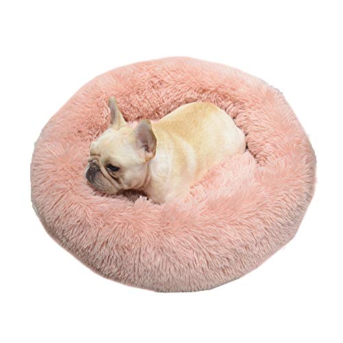 Extra Weich Katzenbett waschbar aus warm plüsch,Katzen Sofa Bequem Schlafen Bett,Schonend Hundebett Rund Haustierbett fur Katzen und Kleine Mittlere Hunde,rutschfest-Rosa-M:60x60x20cm von KongEU