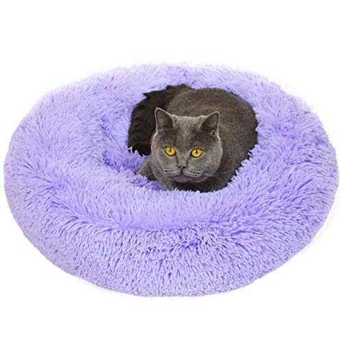 Extra Weich Katzenbett waschbar aus warm plüsch,Katzen Sofa Bequem Schlafen Bett,Schonend Hundebett Rund Haustierbett fur Katzen und Kleine Mittlere Hunde,rutschfest-Violett-M:60x60x20cm von KongEU