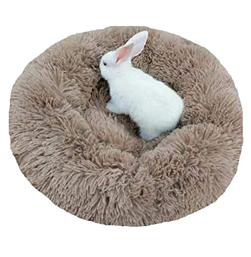 Extra Weich Katzenbett waschbar aus warm plüsch,Katzen Sofa Bequem Schlafen Bett,Schonend Hundebett Rund Haustierbett fur Katzen und Kleine Mittlere Hunde,rutschfest-braun-M:60x60x20cm von KongEU