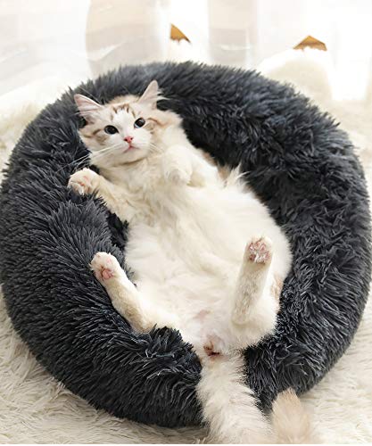 Katzenbett Weich Kissen Betten für Katzen,Warm Plüsch Runden Katze Schlafen Bett Kleine Hund Bett Haustierbett katzenkorb Katzensofa in Doughnut-Form-Dark Gray von KongEU