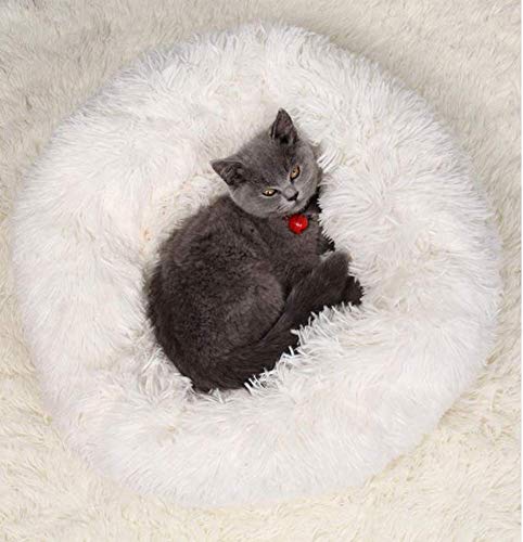 Katzenbett Weich Kissen Betten für Katzen,Warm Plüsch Runden Katze Schlafen Bett Kleine Hund Bett Haustierbett katzenkorb Katzensofa in Doughnut-Form-White von KongEU